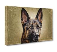 German Shepherd Alsatian Dog Canvas Print | Gallery Wrapped 30mm Frame Wall Art | 20x14 inches | Ready to Hang | Modern Animals Picture | Living Room Bedroom Lounge Office