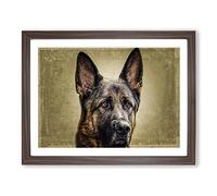 German Shepherd Alsatian Dog Modern Framed Print | A4 Walnut Framed Wall Art | Ready to Hang | Modern Animal Picture | Living Room Bedroom Lounge Office