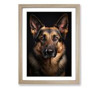 German Shepherd Classicism Framed Wall Art Print, Ready to Hang Picture for Living Room Bedroom Home Office, Oak A2 (48 x 66 cm)