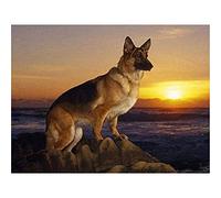 German Shepherd Diamond Painting YIOITTIO Full Round Stone Dog Diamond Embroidery of Rhinestones DIY Hobby Needlework Paint Art-16x20 in(40x50cm)