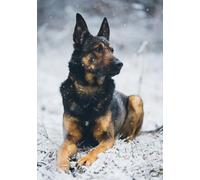 German Shepherd Dog in the Snow Christmas Greeting Card GC799