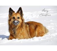 German Shepherd Dog in the Snow Pack of 5 Christmas Greeting Cards 125mm x 178mm - Including Envelopes - GC673PCK5