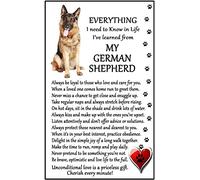 German Shepherd Dog Lover (I Learned from my German Shepherd) Gift - Large Fun flexible Fridge Magnet- size 16cms x 10 cms (approx. 6" x4")