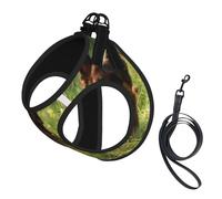 German Shepherd Dog Printed,Pet Harness,Adjustable Reflective Dog Harness,Pet Leash Vest,M