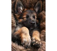 German Shepherd Notebook: For Men And Women Who Love Alsation Puppies