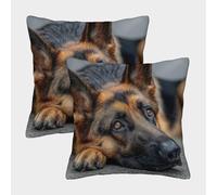 German Shepherd-Pet Companion Style Pillow Covers 2 Pack Cozy Pillowcases Art Cushion Case with Invisible Zipper Decorative for Couch Livingroom 40x40cm