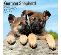German Shepherd Puppies 2026 Calendar | Square Wall Calendar | Dog Breed Gift | Plastic Free Packaging | by Avonside Publishing