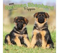 German Shepherd Puppies 2026 Square Flap Calendar
