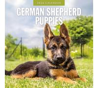 German Shepherd Puppies - 2026 Square Wall Calendar - by Red Robin Publishing