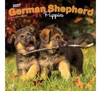 German Shepherd Puppies | 2027 12 x 24 Inch (Hanging) Monthly Square Wall Calendar | Plastic-Free | BrownTrout | Animals Dog Breeds Puppy