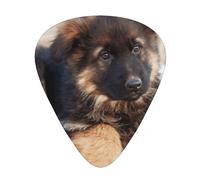 German Shepherd Puppies Print,12 Pcs Guitar Pick,3 Different Thickness Plectrums for Acoustic Guitar Bass Ukulele (0.46mm 0.96mm 0.71mm)