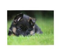 German Shepherd Puppy Pets Lawn Bokeh Dogs,500 Pieces Puzzles for Adults-Wooden Jigsaw Puzzle for Adults Elderly