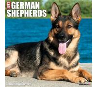German Shepherds 2025 Wall