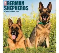 German Shepherds 2026 12" x 12" Wall Calendar