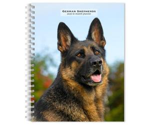 German Shepherds | 2026 6 x 7.75 Inch Spiral-Bound Wire-O Weekly Engagement Planner Calendar | New Full-Color Image Every W rownTrout | Animals Dog Breeds Pets