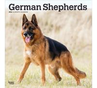 German Shepherds 2026 Square Flap Calendar