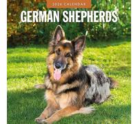 German Shepherds - 2026 Square Wall Calendar - by Red Robin Publishing