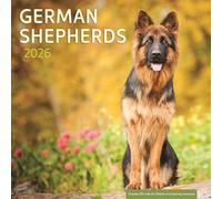 German Shepherds 2026 Wall Calendar