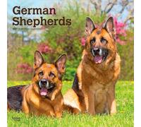 German Shepherds 2027 12 X 24 Inch (Hanging) Monthly Square Wall Calendar Plastic-Free: Original BrownTrout-Kalender [Mehrsprachig] [Kalender]