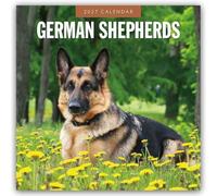 German Shepherds 2027 Square Wall Calendar: Original Red Robin Publishing Ltd-Kalender [Mehrsprachig] [Kalender]