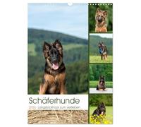 German Shepherds Longpole Hair to Fall in Love (Wall Calendar 2026 DIN A3 High), CALVENDO Monthly Calendar