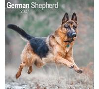 German Shepherds Wall