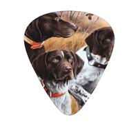 German Short-Haired Pointer Dog Fall,12 Pcs Guitar Pick,3 Different Thickness Plectrums for Acoustic Guitar Bass Ukulele (0.46mm 0.96mm 0.71mm)