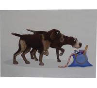 German Shorthair & Wirehair Pointer Notecards (pack of 10)