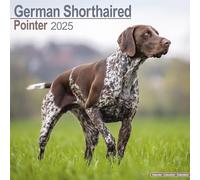 German Shorthair Pointer Calendar 2025 Square Dog Breed Wall Calendar - 16 Mont