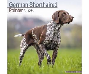 German Shorthaired Pointer 2025 Square Wall Calendar | Pointer, German Shorthair, Short Haired, Gundog, Dog Breed Calendar