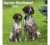 German Shorthaired Pointer 2026 Calendar | Square Wall Calendar | Dog Breed Gift | Plastic Free Packaging | by Avonside Publishing