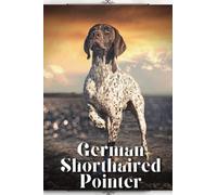 German Shorthaired Pointer: Dog breed overview and guide