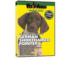 GERMAN SHORTHAIRED POINTER DVD: Everything You Should Know + Dog & Puppy Trai...