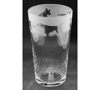German Shorthaired Pointer Frieze Boxed 1 Pint Conical Beer Glass