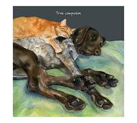 German Shorthaired Pointer Greeting Card