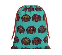 German Shorthaired Pointer In Glasses Print Plush Gift Bags Reusable Drawstring Gift Wrap Bags,For Holiday Candy Party Supplies