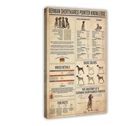 German Shorthaired Pointer Knowledge Poster Canvas Poster Bedroom Decor Landscape Office Room Decor Gift 16x24inch(40x60cm)