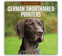 German Shorthaired Pointers 2025 Square Wall Calendar by Red Robin 978180442468