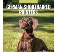German Shorthaired Pointers - 2026 Square Wall Calendar - by Red Robin Publishing