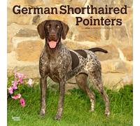 German Shorthaired Pointers - Deutsch Kurzhaar 2026 - 16-Monatskalender: Original BrownTrout-Kalender [Mehrsprachig] [Kalender]