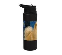 German Spitz Dog Van Gogh Starry Night Stainless Steel Insulated Water Bottle