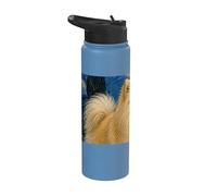 German Spitz Dog Van Gogh Starry Night Stainless Steel Insulated Water Bottle