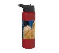 German Spitz Dog Van Gogh Starry Night Stainless Steel Insulated Water Bottle