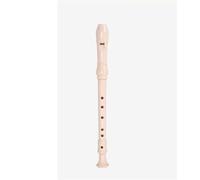 German Style 6Hole Soprano Recorder Beginner Wind Instrument Recorder(White)