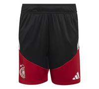 Germany National Team adidas Training Shorts - Black - Kids