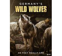 Germany's Wild Wolves - As They Really Are