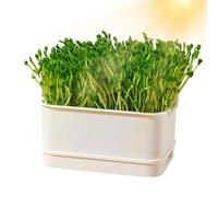 Germination Container - Soilless Pea Sprouter With Lid,Wheatgrass Growing Container - Planting And Growing Beans, Peas, Wheatgrass At Home, Inside And On The Countertop