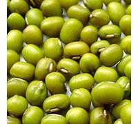 Germinazione dei semi: 2 Borse di ?? Fagioli mung - 12 OZ bis, crescere i germogli, Cibo cinese, BEAN nutrious