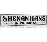 Geroclonup 10x40cm Shenanigans in Progress Sign Vintage Metal Signs Metal Plaque Sign Retro Wall Decor Vintage Decor Funny Metal Sign for Home Office Outdoor Yard Decor 20x30cm