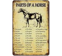 Geroclonup 30x40cm Retro Horse Knowledge Metal Posters Parts Of Horse Signs Horses Anatomy Tin Sign Horse Poster Decorations For Kitchen Farm Room Western Cowboy Wall Art Decor Plaque Signs